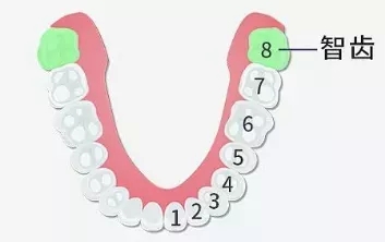 1631343958105686.jpg 124.webp.jpg