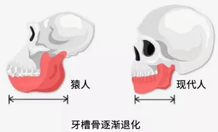 1631344030135365.jpg 125.webp (1).jpg